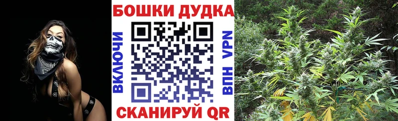 Марихуана планчик  Пестово 